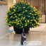 Bàn tab decor đá tự nhiên BD13